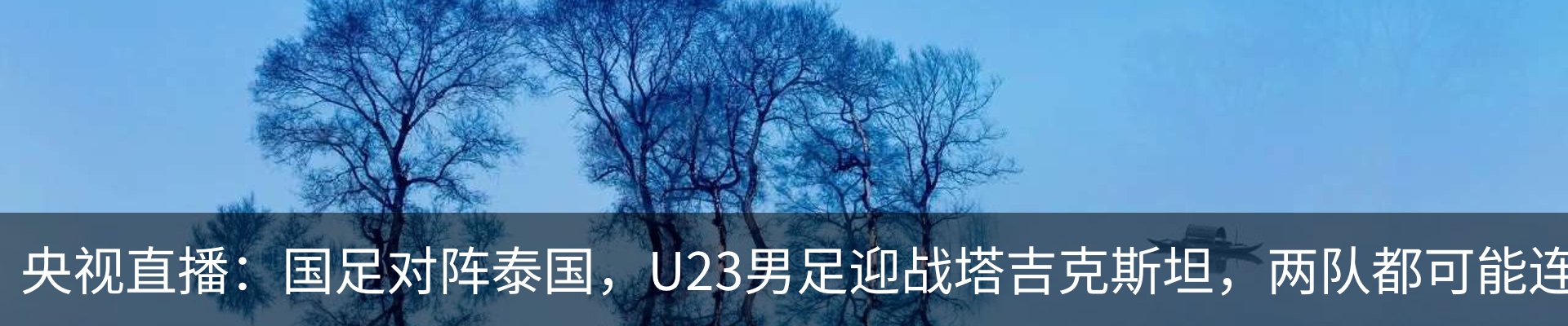 新闻动态